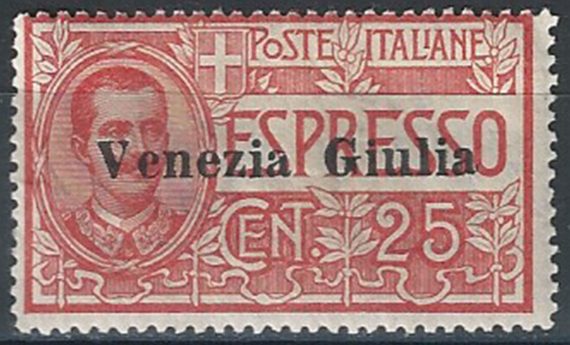 1919 Venezia Giulia Express 25c. rosso MNH Sassone n. 1