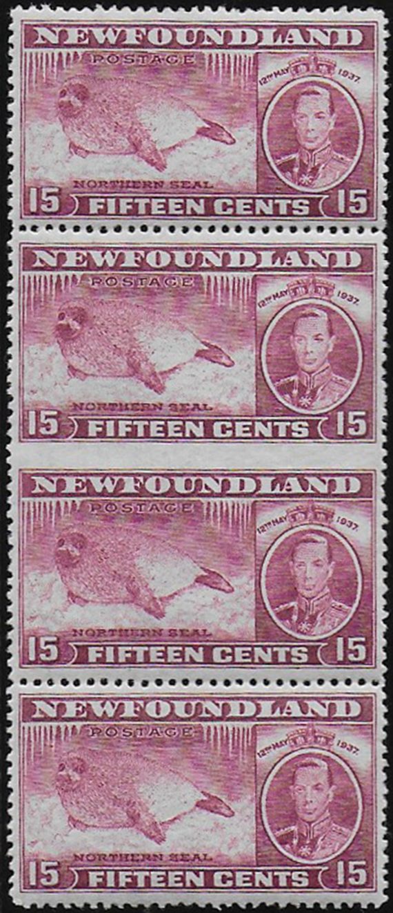 1937 Newfoundland northern seal variety MNH SG n. 263cb
