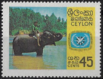 1967 Ceylon elephant 1v. MNH SG n. 530