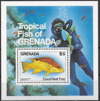 1984 Grenada Spanish Hogfish MS MNH SG n. 1338
