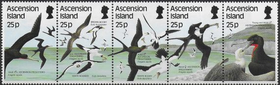 1987 Ascension sea birds 5v. MNH SG n. 442/446