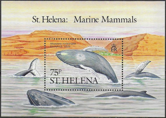 1987 St Helena marine mammals MNH S.G. n. MS 513