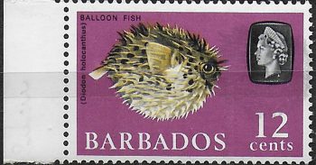 1965 Barbados Balloon Fish 12c. grey printing double MNH SG n. 329a