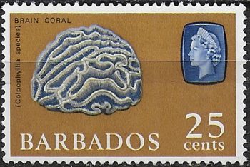 1966 Barbados Brain Coral 25c. deep ultr. yellow MNH SG n. 351b