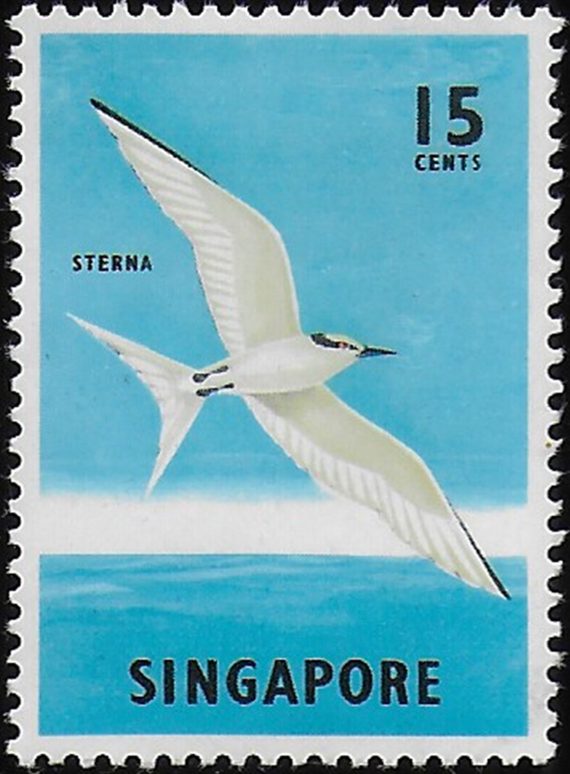 1966 Singapore Black-naped Ter 15c. variety MNH SG n. 70aac