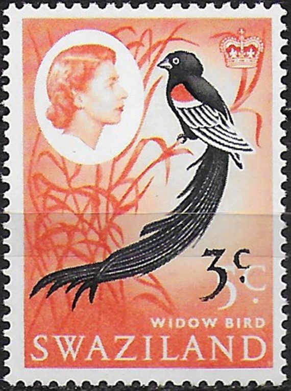 1968 Swaziland Widow Bird 3c. on 5c. MNH SG n. 136