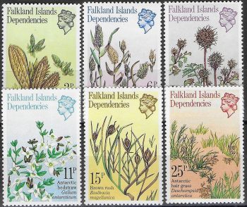 1981 Falkland Islands Dependencies flora 6v. MNH Michel n. 93/98