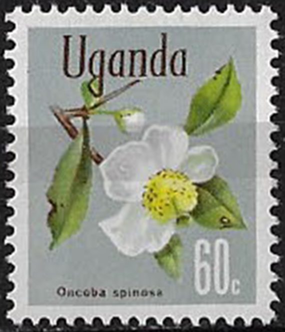 1973 Uganda Oncoba spinosa 60c. glazed paper MNH SG n. 138a